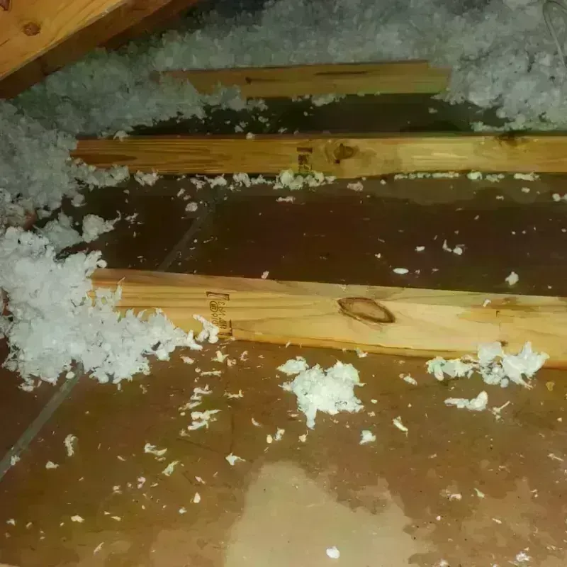 Attic Water Damage in Madill, OK